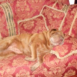 Wally