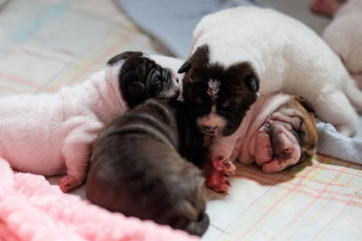 2026-07-07-11-24-19-EOS R6m2-6965
