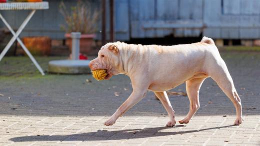 2024-03-03-12-59-41-EOS R6-2150_2048px
