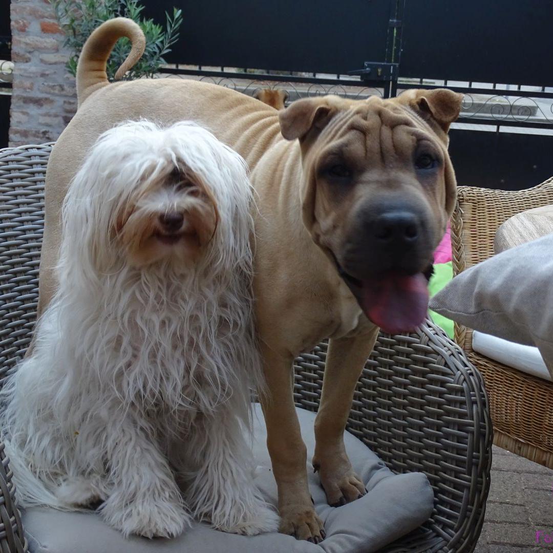 Nelly und Ella