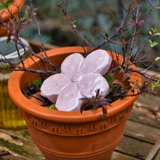 Eine Blume