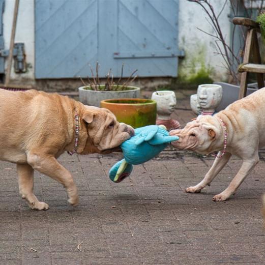 Holly und LeeLoo