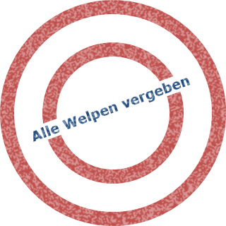 Alle Welpen vergeben